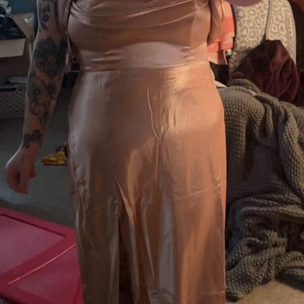 Birdy Grey Elegant Satin Dress in Blush